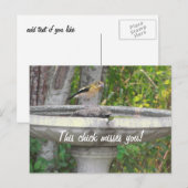 Angry look Bird met je zin Briefkaart (Voorkant / Achterkant)