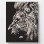 Angry Male Lion Fotoplaat (Voorkant)