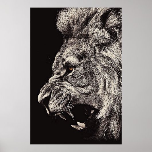 Angry Male Lion Poster (Voorkant)