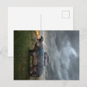 Angry Moeder Hippo | Vakantietoeslag Aankondigingskaart (Voorkant / Achterkant)