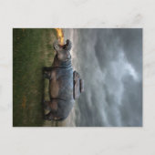 Angry Moeder Hippo | Vakantietoeslag Aankondigingskaart (Voorkant)