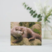 Angry Otter Briefkaart (Staand voorkant)
