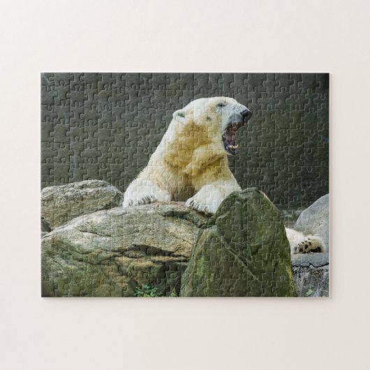 Angry Polar Beer Legpuzzel (Horizontaal)