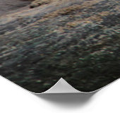 Angry Roaring Tiger Foto Poster (Hoek)