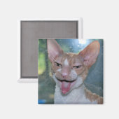 Angry Room Magnet (Voorkant / Achterkant)