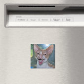 Angry Room Magnet (Insitu (Vaatwasser))