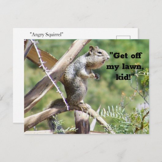 Angry Squirrel Briefkaart (Voorkant / Achterkant)
