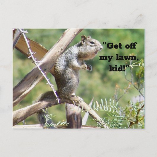 Angry Squirrel Briefkaart (Voorkant)