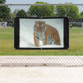 ANGRY TIGER Banner (Insitu)