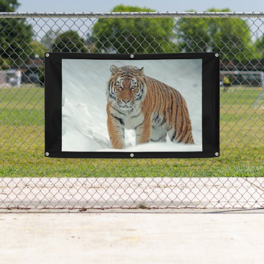 ANGRY TIGER Banner (Insitu)