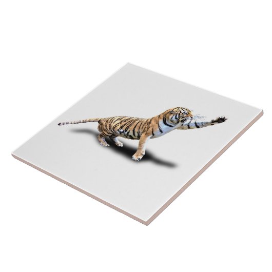 ANGRY TIGER TEGELTJE (Zijkant)