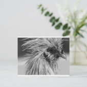 Angry Wet Silkie Chicken Briefkaart (Staand voorkant)