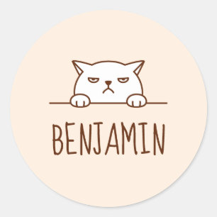 Angry White Cat Beige aangepaste naam Ronde Sticker
