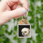 Angry white Shih Tzu met bruine ogen Sleutelhanger (Hand)