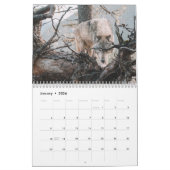 Angry Wolf Forest Kalender (Jan 2026)