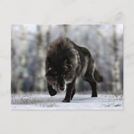Angry zwarte wolf briefkaart (Voorkant)