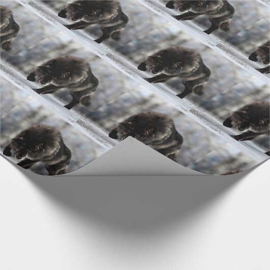 Angry zwarte wolf cadeaupapier (Hoek)