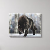 Angry zwarte wolf canvas afdruk (Voorkant)