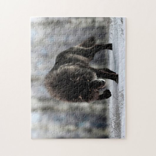 Angry zwarte wolf legpuzzel (Verticaal)