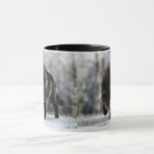 Angry zwarte wolf mok (Midden)