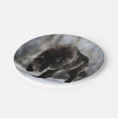 Angry zwarte wolf papieren bordje (Gekanteld)