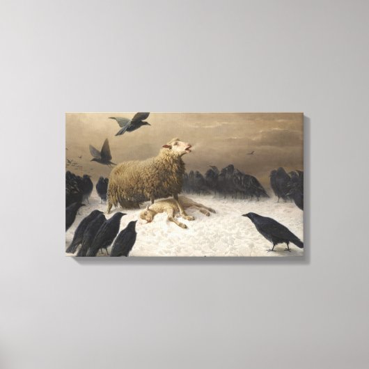 Angst: Schaap met een dood lam Canvas Afdruk (Voorkant)