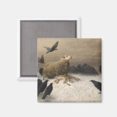 Angst: Schaap met een dood lam Magneet (Voorkant / Achterkant)