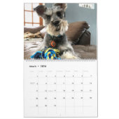 Angst voor de baard: Schnauzer Edition Kalender (Mar 2026)