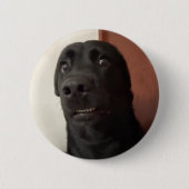 Angstige Dog Meme Pin Button (Voorkant)