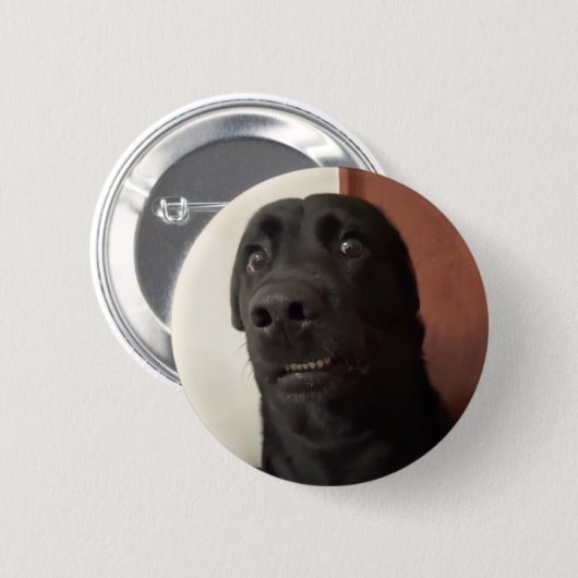 Angstige Dog Meme Pin Button (Voorkant /achterkant)