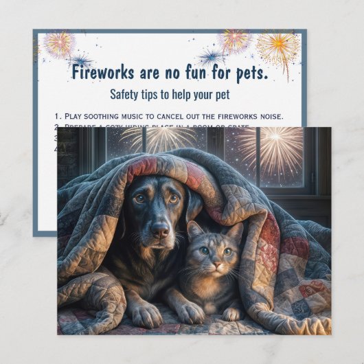Angstige hond en kat kijken naar vuurwerk briefkaart (Voorkant / Achterkant)