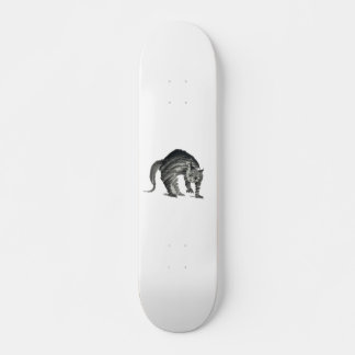 Angstige kat abstract persoonlijk skateboard