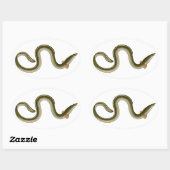 Anguilla anguilla ovale sticker (Vel)