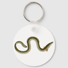 Anguilla anguilla sleutelhanger