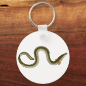 Anguilla anguilla sleutelhanger (Voorkant)