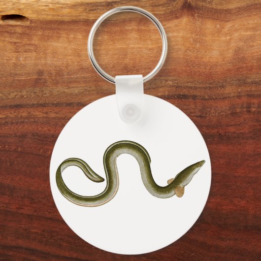 Anguilla anguilla sleutelhanger (Voorkant)