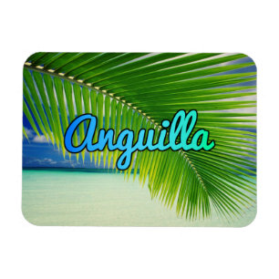 Anguilla Magneet