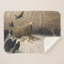 Anguish: Schapen met een dode lamp