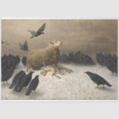 Anguish: Schapen met een dode lamp Tissuepapier (Voorkant)