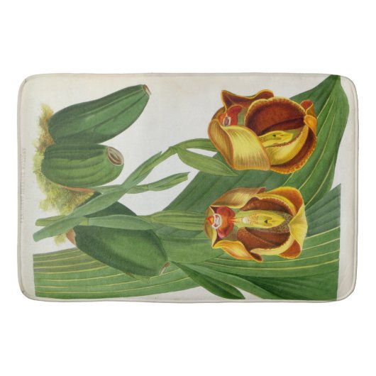 Anguloa Ruckerii Sanguine Lindenia Orchid Badmat (Voorkant)