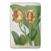 Anguloa Ruckerii Sanguine Lindenia Orchid Badmat (Voorkant Verticaal)