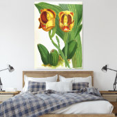 Anguloa Ruckerii Sanguine Lindenia Orchid Canvas Afdruk (Insitu (Slaapkamer))