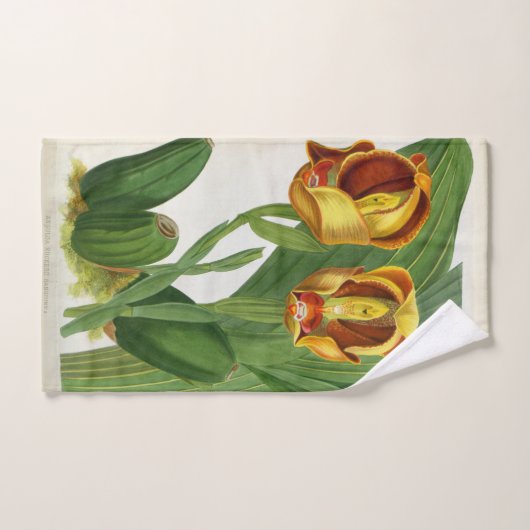 Anguloa Ruckerii Sanguine Lindenia Orchid Handdoek (Handdoek)