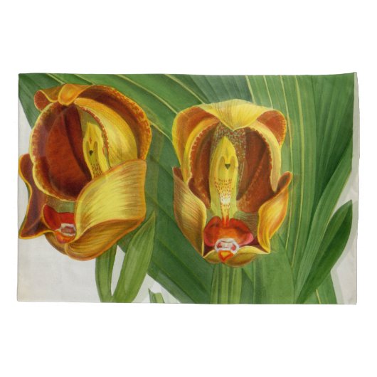 Anguloa Ruckerii Sanguine Lindenia Orchid Kussensloop (Achterkant)