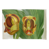 Anguloa Ruckerii Sanguine Lindenia Orchid Kussensloop (Voorkant)