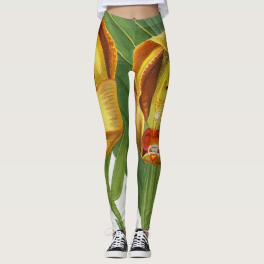 Anguloa Ruckerii Sanguine Lindenia Orchid Leggings (Voorkant)