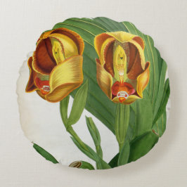 Anguloa Ruckerii Sanguine Lindenia Orchid Rond Kussen