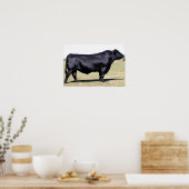 Angus Bull Portret Poster Print (Keuken)