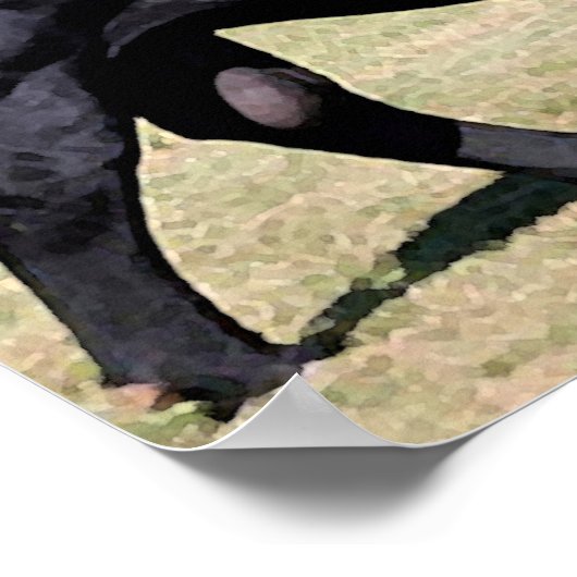 Angus Bull Portret Poster Print (Hoek)