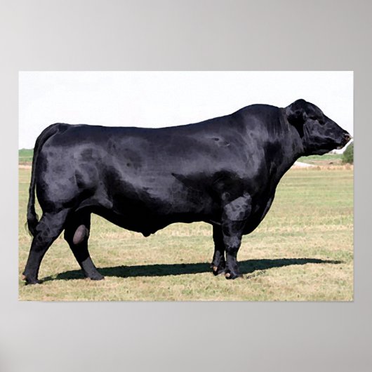 Angus Bull Portret Poster Print (Voorkant)